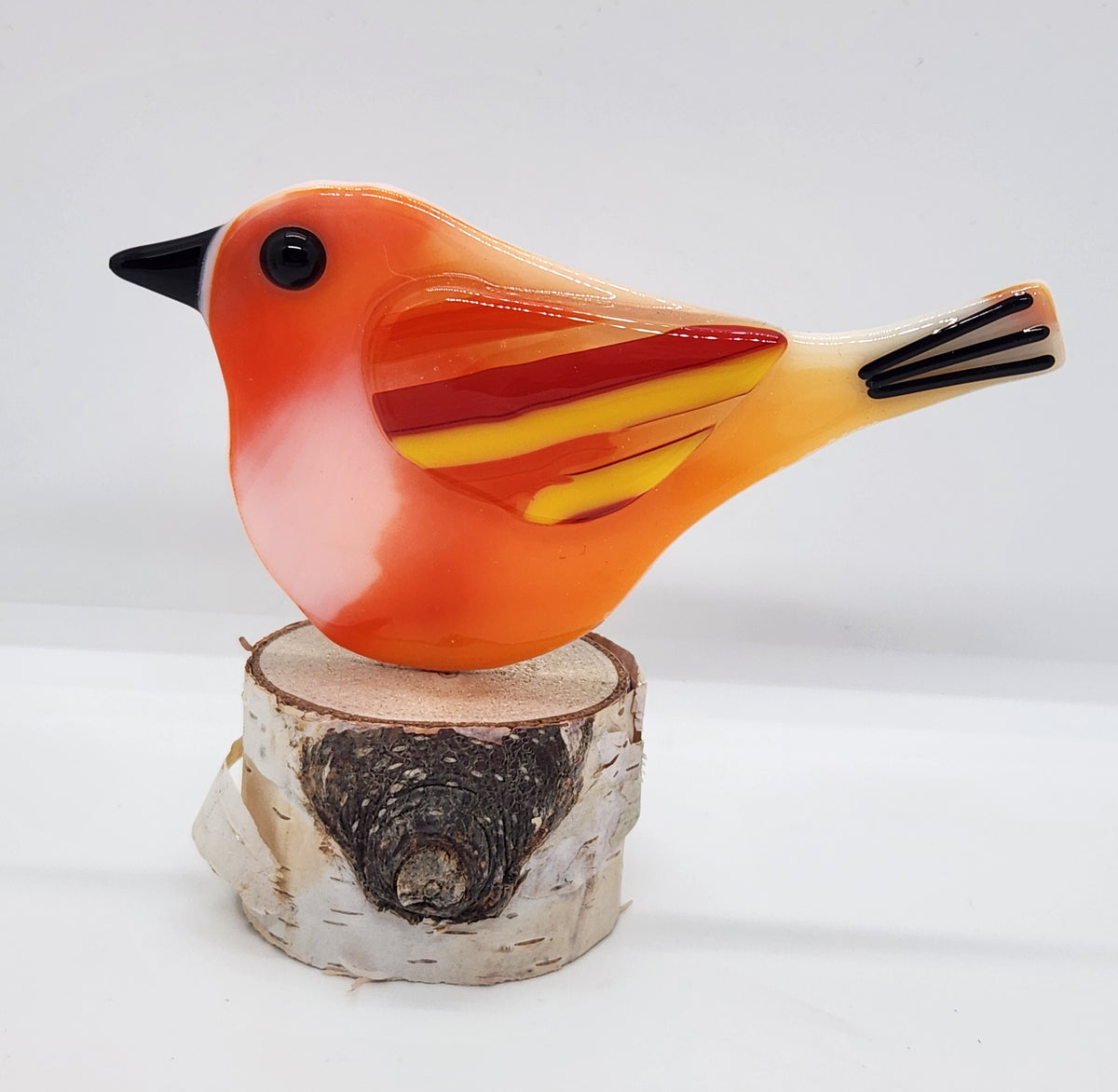 Orange songbird on birch wood stand